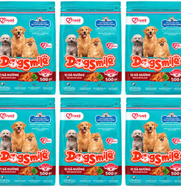 DogSmile Vị Gà Nướng 500g 