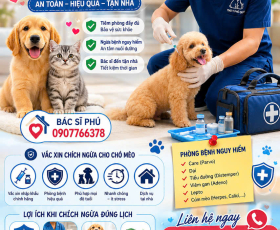 Tiêm Phòng Chó Mèo Ở Củ Chi