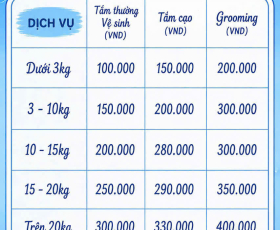 Dịch Vụ Tắm Và Spa Cho Thú Cưng Tại Củ Chi Chuyên Nghiệp – Chăm Sóc Toàn Diện Cho Chó Mèo