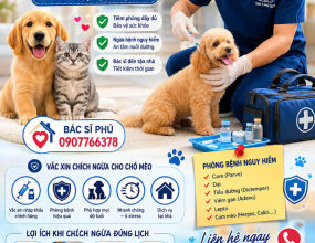 Tiêm Phòng Chó Mèo Ở Củ Chi