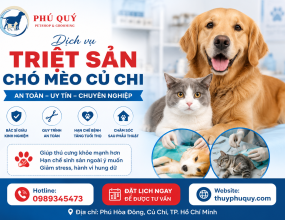 Triệt Sản Chó Mèo Củ Chi An Toàn, Uy Tín – Chăm Sóc Thú Cưng Toàn Diện