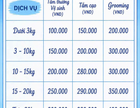 Dịch Vụ Tắm Và Spa Cho Thú Cưng Tại Củ Chi Chuyên Nghiệp – Chăm Sóc Toàn Diện Cho Chó Mèo