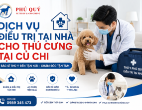 Dịch Vụ Điều Trị Tại Nhà Cho Thú Cưng Tại Củ Chi 